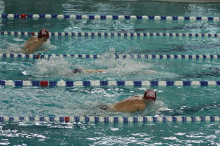 星空app官网下载-“世界游泳锦标赛：2025新加坡赛场泳池掀起速度与优雅的碰撞”